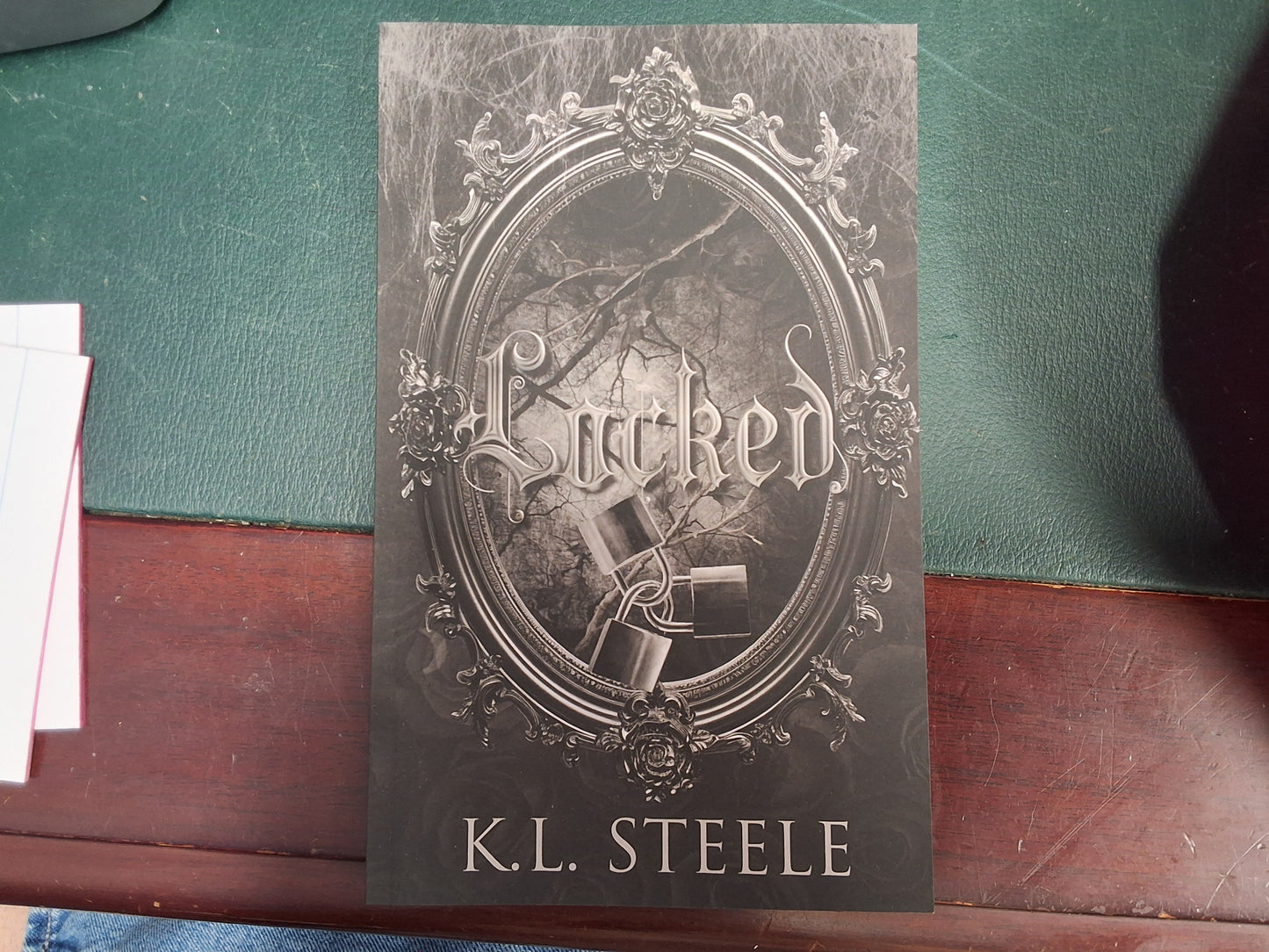 Locked Special Edition by K.L Steele