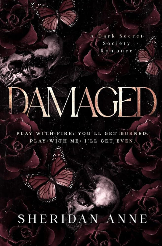 Damaged: A Dark Enemies to Lovers Reverse Harem Romance (Boys Of Winter) cover image