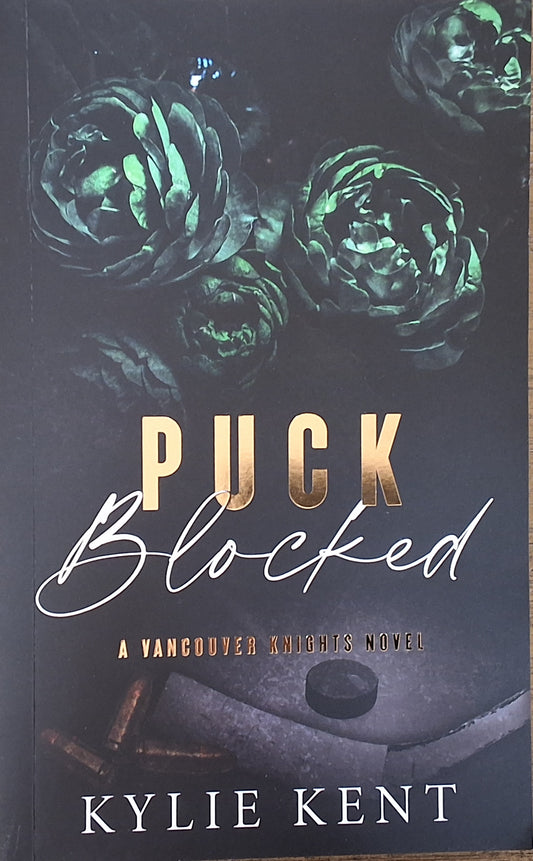 Puck blocked